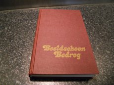 - Boek - Beeldschoon bedrog -