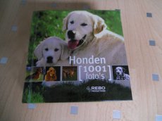 - Boek - Honden / 1001 foto's -