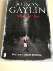 Boek / Alison Gaylin - In het donker